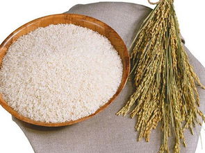 南城膳食公司 东莞区域信誉卓越的食堂承包与餐饮信息咨询服务专家