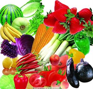 东莞旭新膳食管理 打造冬季养生多元化餐饮新体验